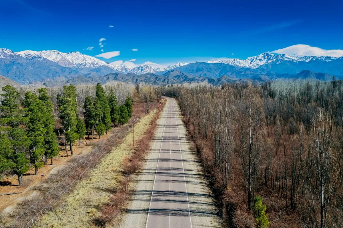 Mendoza y los Andes